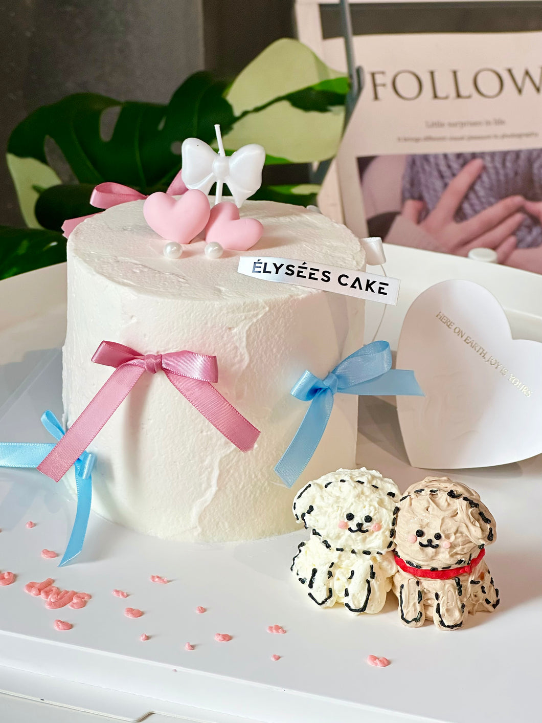 Maltese Love Anniversary