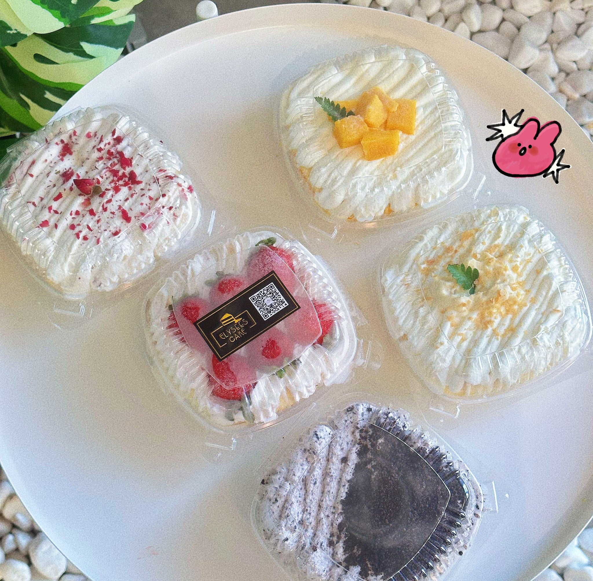 Assorted Flavor Cake Box盒子蛋糕 – Elysees Cake